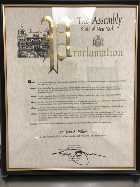NYS Assembly Proclamation